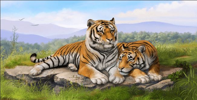 Phần lớn hổ sống trong rừng hoặc ở các đồng cỏ