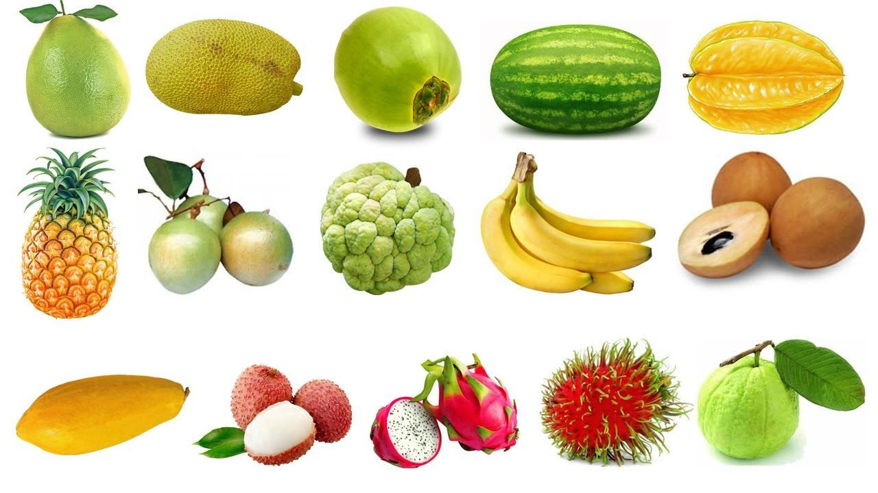 Các loại trái cây thường dùng